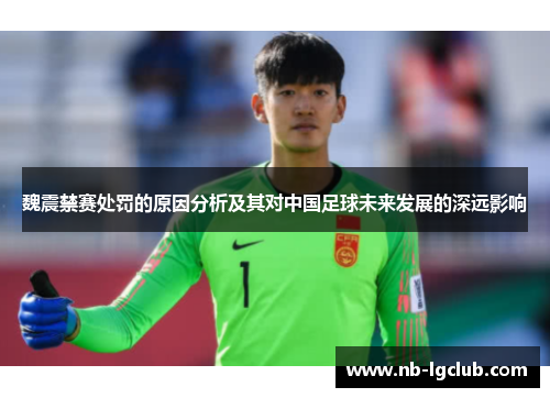 魏震禁赛处罚的原因分析及其对中国足球未来发展的深远影响