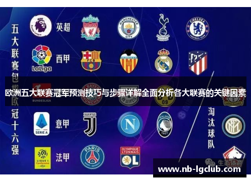欧洲五大联赛冠军预测技巧与步骤详解全面分析各大联赛的关键因素